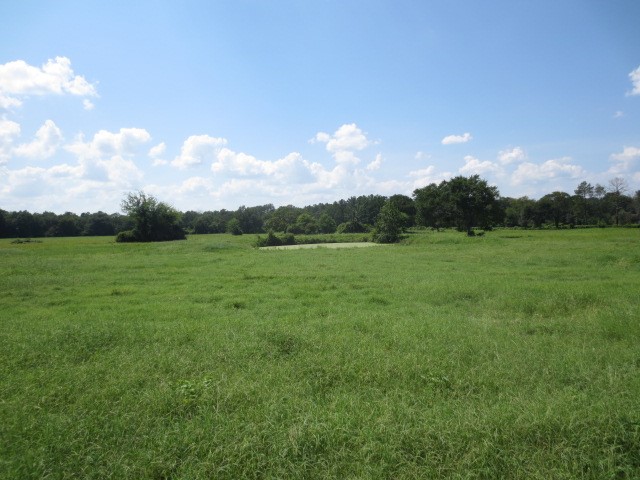 143 Piney Woods Road Trinity, TX 75862 - Photo 11 of 29 a view of a field with an ocean