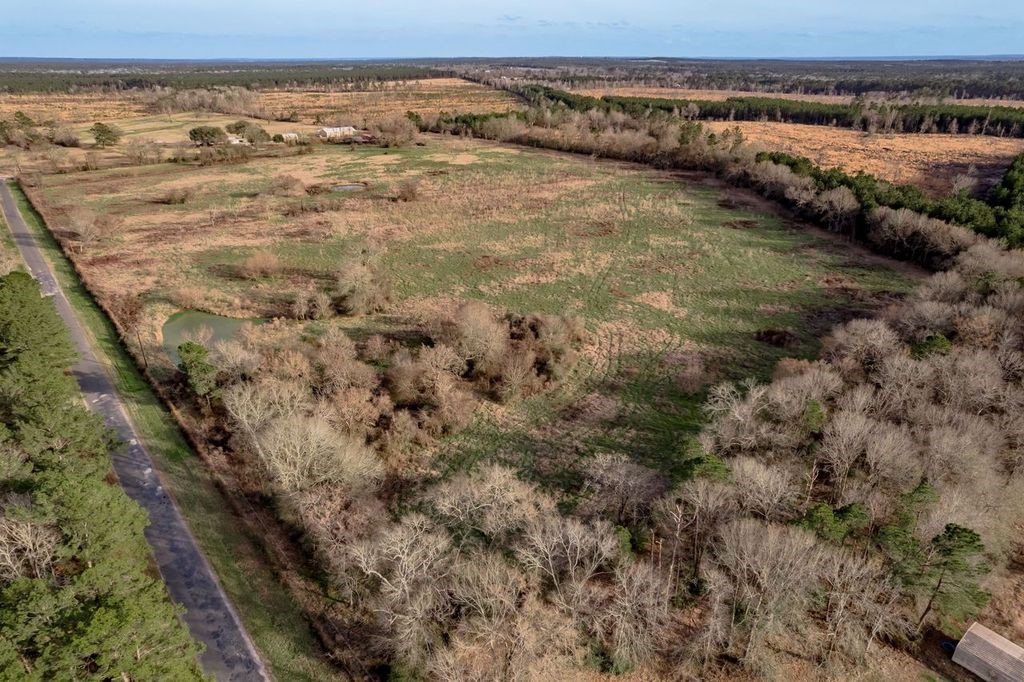 143 Piney Woods Road Trinity, TX 75862 - Photo 20 of 29 a view of an ocean