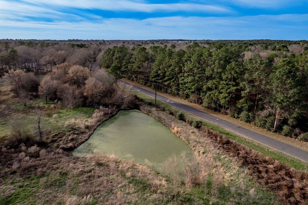 143 Piney Woods Road Trinity, TX 75862 - Photo 21 of 29 a view of a yard with wooden fence