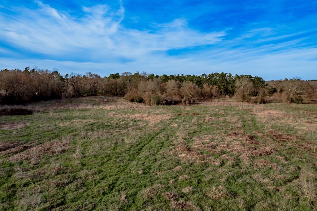 143 Piney Woods Road Trinity, TX 75862 - Photo 25 of 29 a view of an outdoor space with mountain view