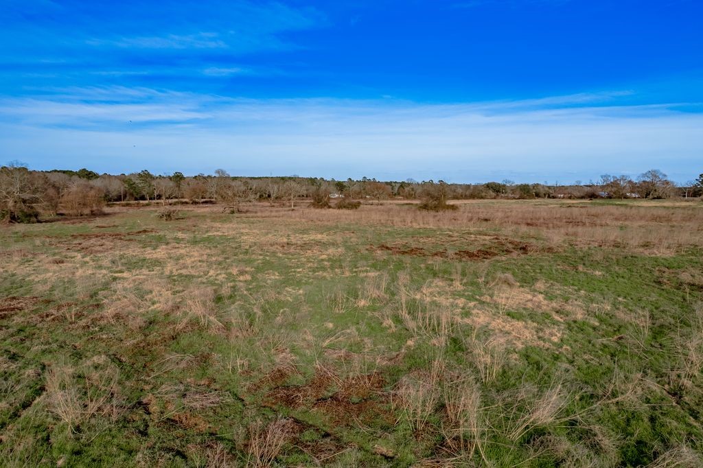 143 Piney Woods Road Trinity, TX 75862 - Photo 26 of 29 a view of an ocean