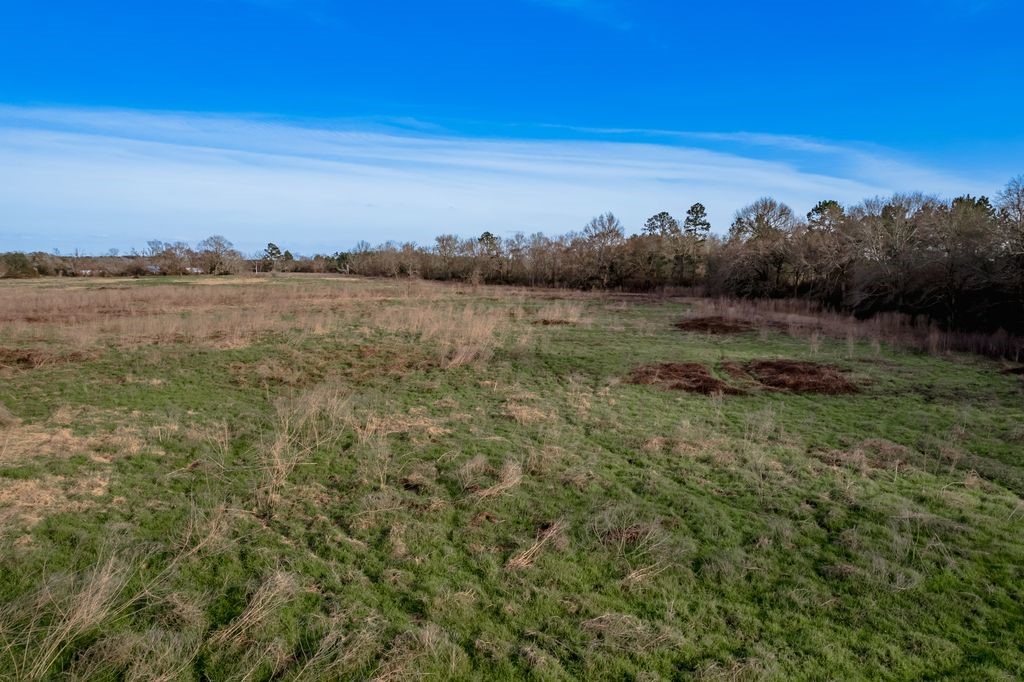 143 Piney Woods Road Trinity, TX 75862 - Photo 27 of 29 a view of lake with sunset