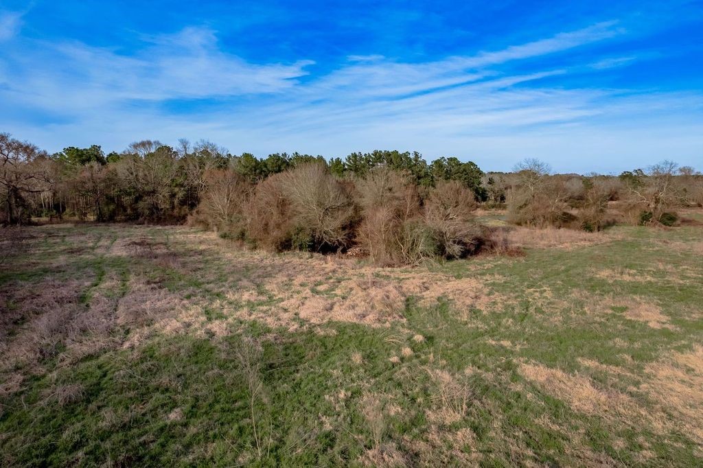 143 Piney Woods Road Trinity, TX 75862 - Photo 28 of 29 a view of a field with mountains in the background