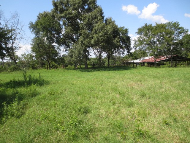 143 Piney Woods Road Trinity, TX 75862 - Photo 3 of 29 a view of a field of grass and trees