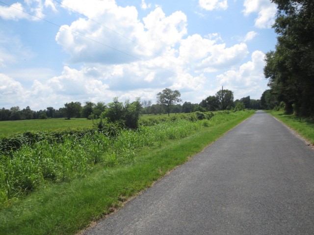 143 Piney Woods Road Trinity, TX 75862 - Photo 4 of 29 a view of a road with a yard