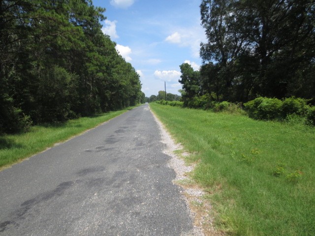 143 Piney Woods Road Trinity, TX 75862 - Photo 5 of 29 a view of a road with a yard