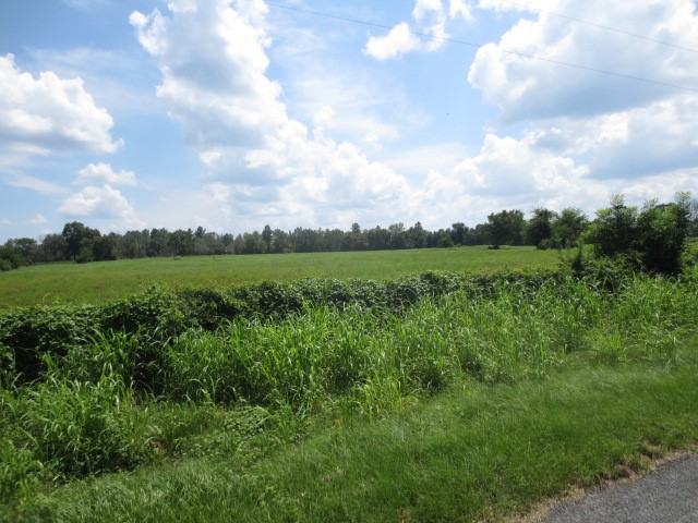 143 Piney Woods Road Trinity, TX 75862 - Photo 6 of 29 a view of a big yard with lots of green space