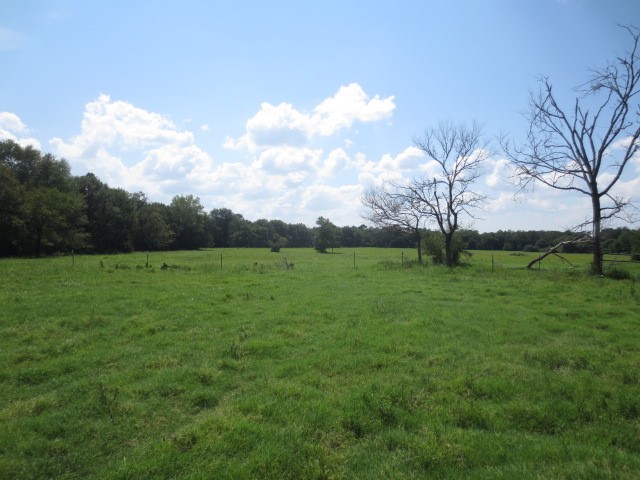 143 Piney Woods Road Trinity, TX 75862 - Photo 7 of 29 a backyard of a house with lots of green space