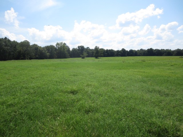 143 Piney Woods Road Trinity, TX 75862 - Photo 10 of 29 a view of grassy field with mountain