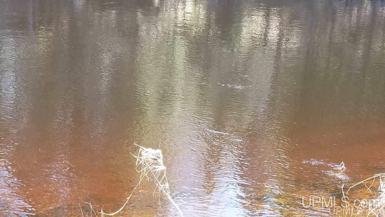29-acr Pond Road Iron River, MI 49935 - Photo 10 of 29 Gallery Image 10