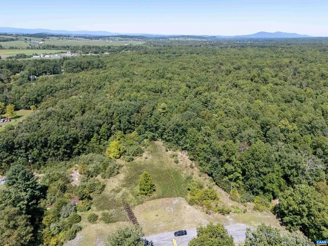 a view of a city with lush green forest