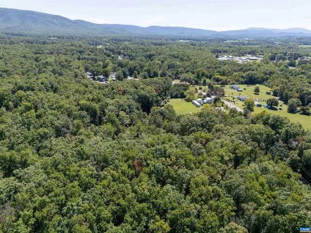 a view of a city with lush green forest