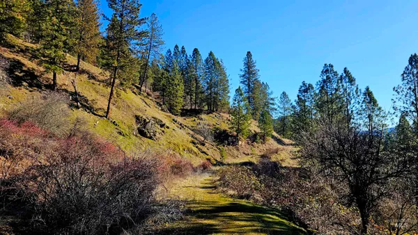 $249,000 | 618 Quail Drive, Lenore, ID 83541