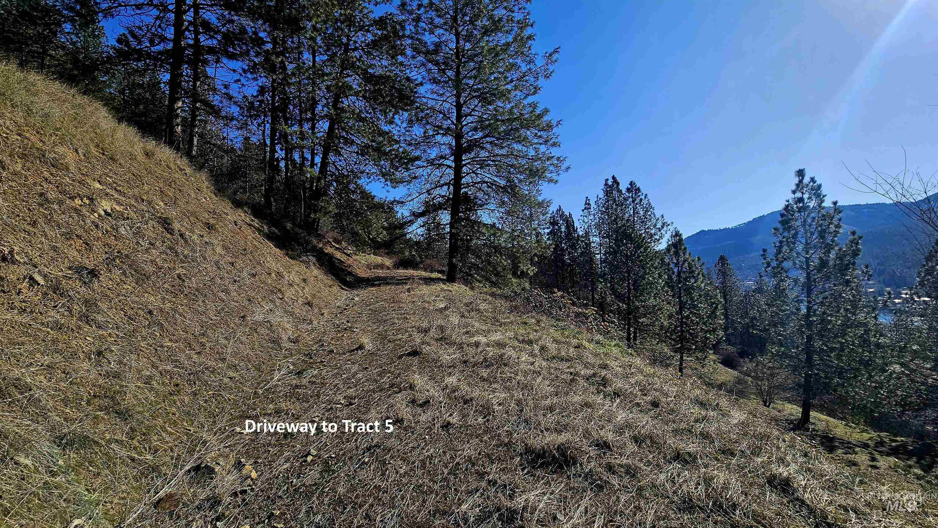 618 Quail Drive Lenore, ID 83541 - Photo 12 of 43
