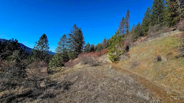 $249,000 | 618 Quail Drive, Lenore, ID 83541