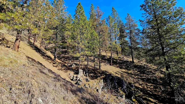 $249,000 | 618 Quail Drive, Lenore, ID 83541