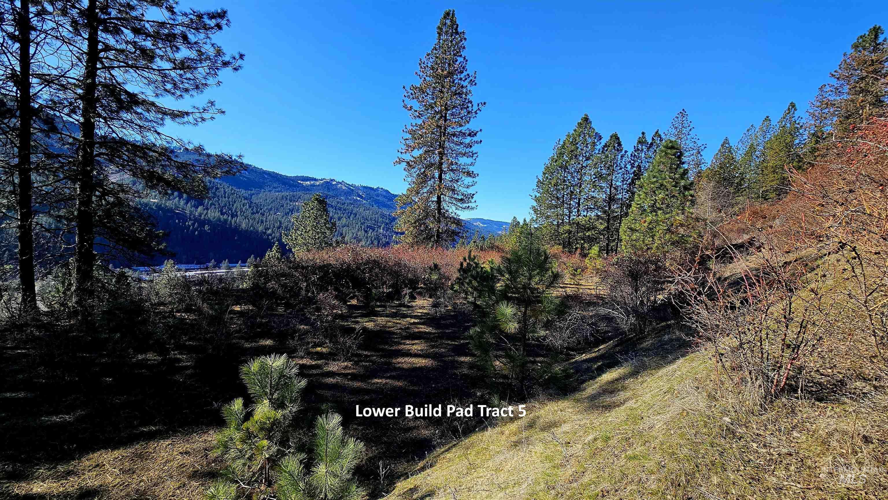 618 Quail Drive Lenore, ID 83541 - Photo 15 of 43