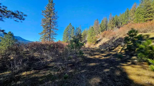 $249,000 | 618 Quail Drive, Lenore, ID 83541