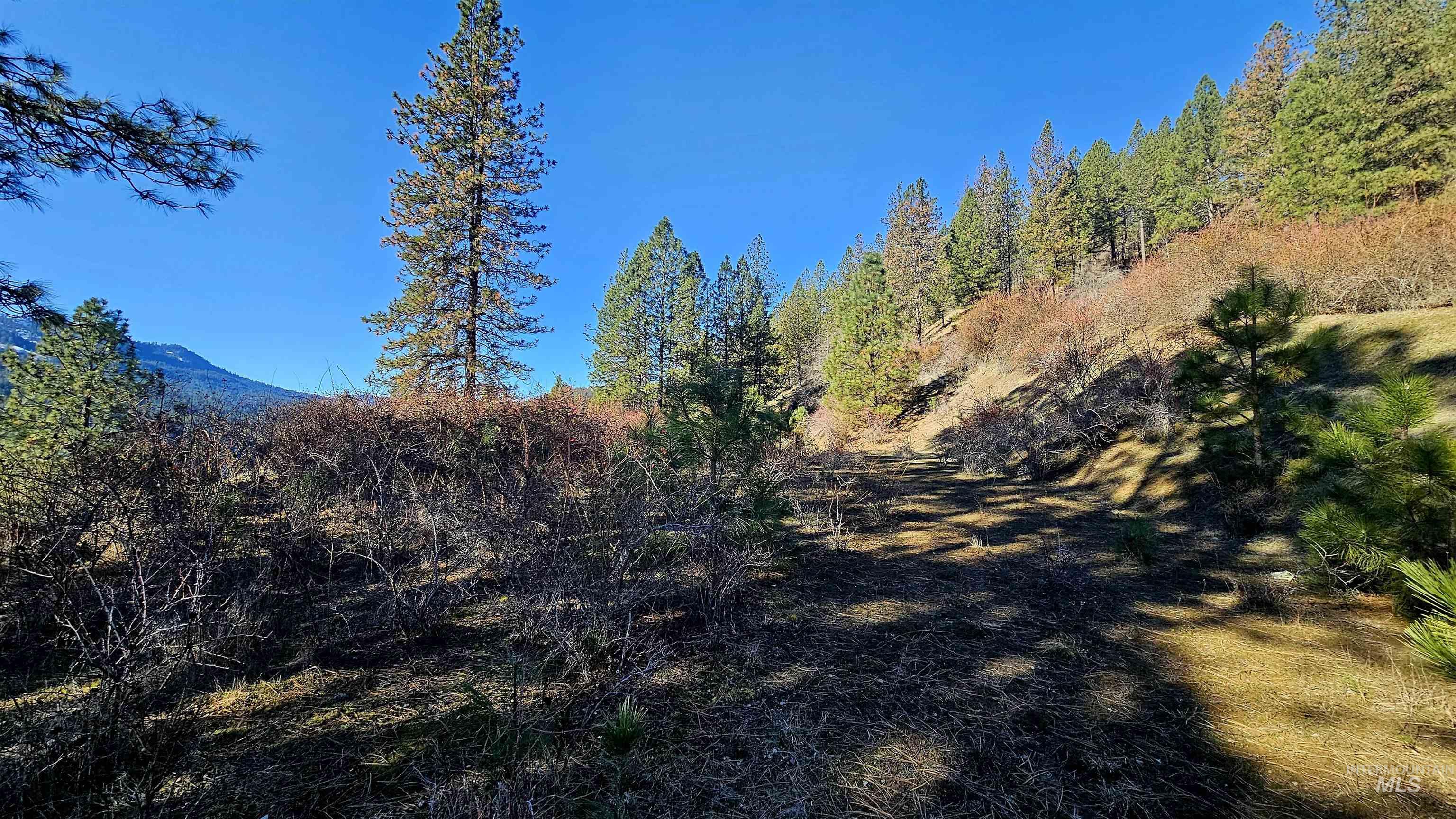618 Quail Drive Lenore, ID 83541 - Photo 16 of 43