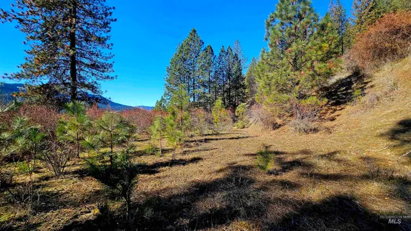 $249,000 | 618 Quail Drive, Lenore, ID 83541