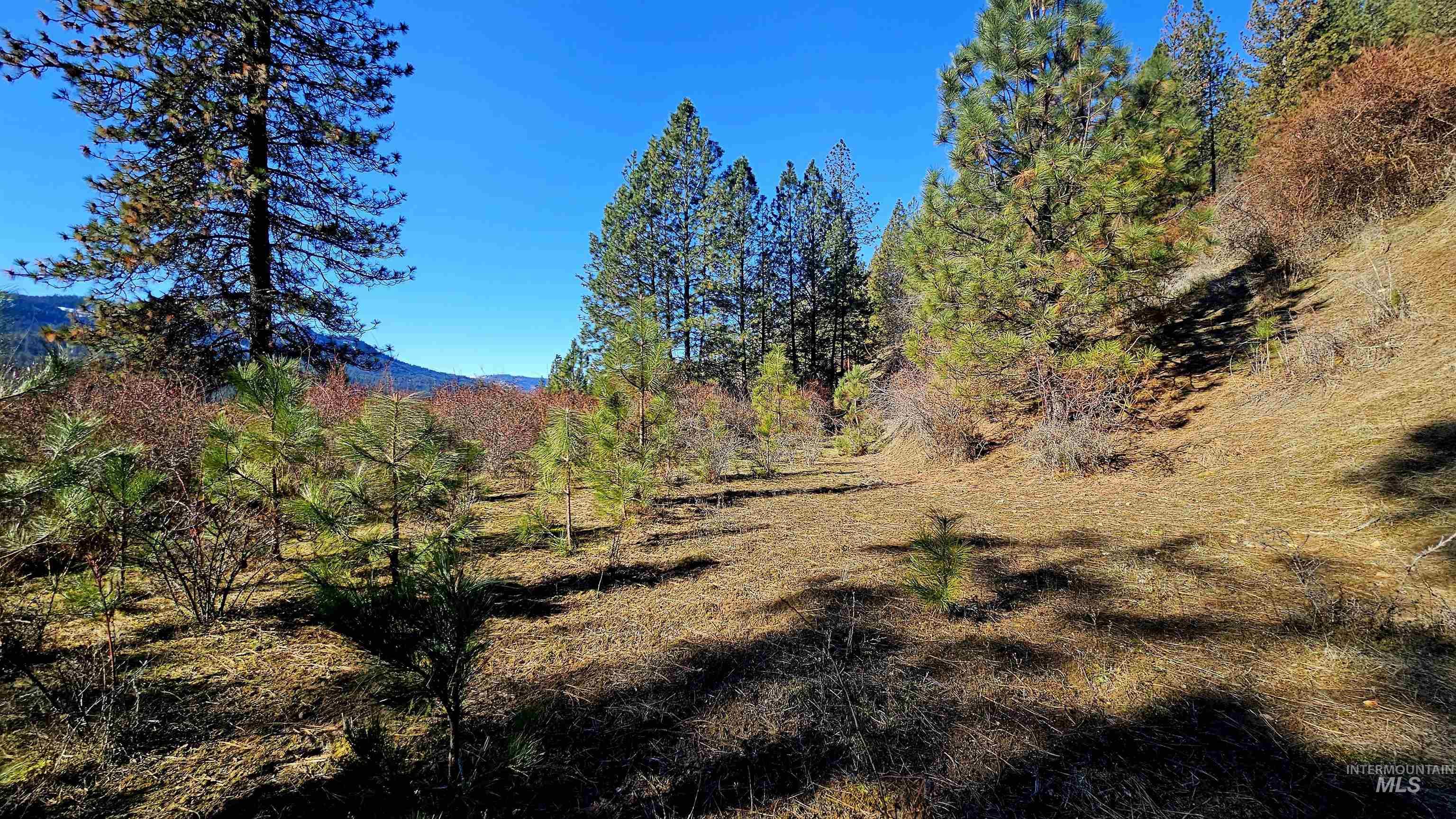 618 Quail Drive Lenore, ID 83541 - Photo 17 of 43