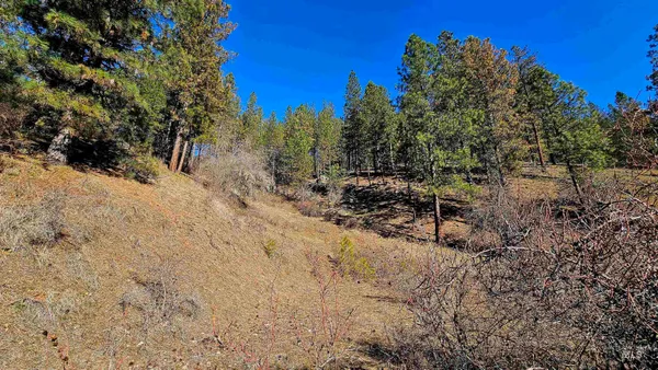 $249,000 | 618 Quail Drive, Lenore, ID 83541