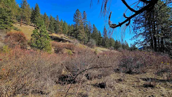 $249,000 | 618 Quail Drive, Lenore, ID 83541