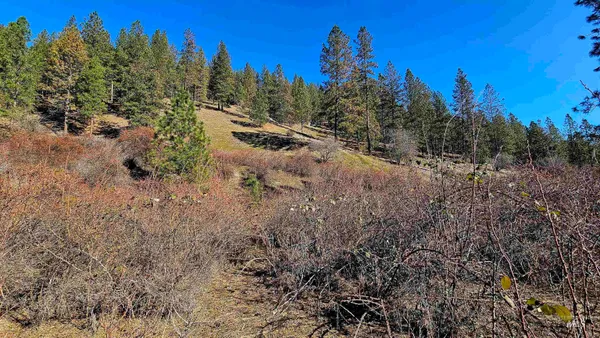 $249,000 | 618 Quail Drive, Lenore, ID 83541