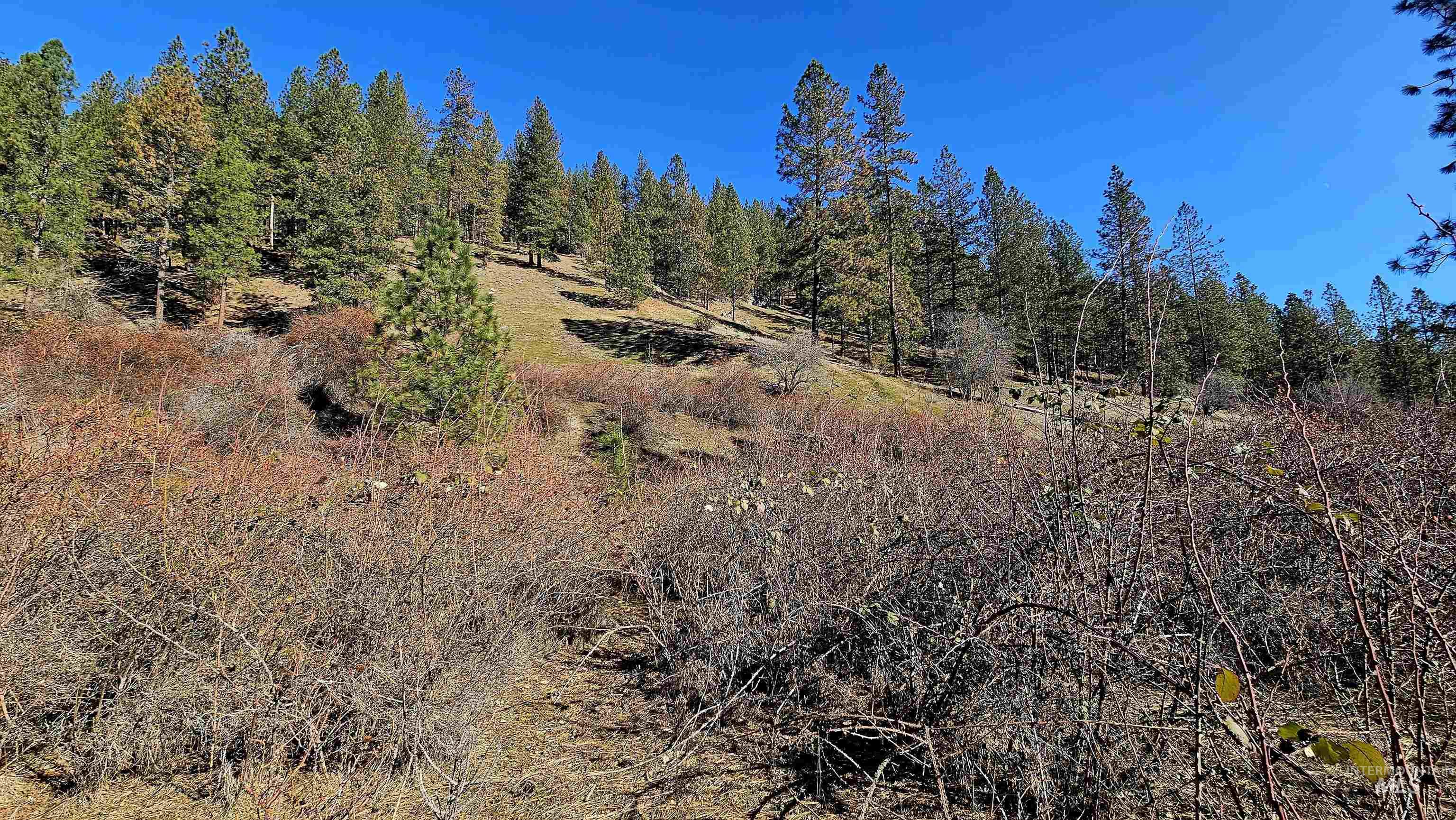 618 Quail Drive Lenore, ID 83541 - Photo 26 of 43