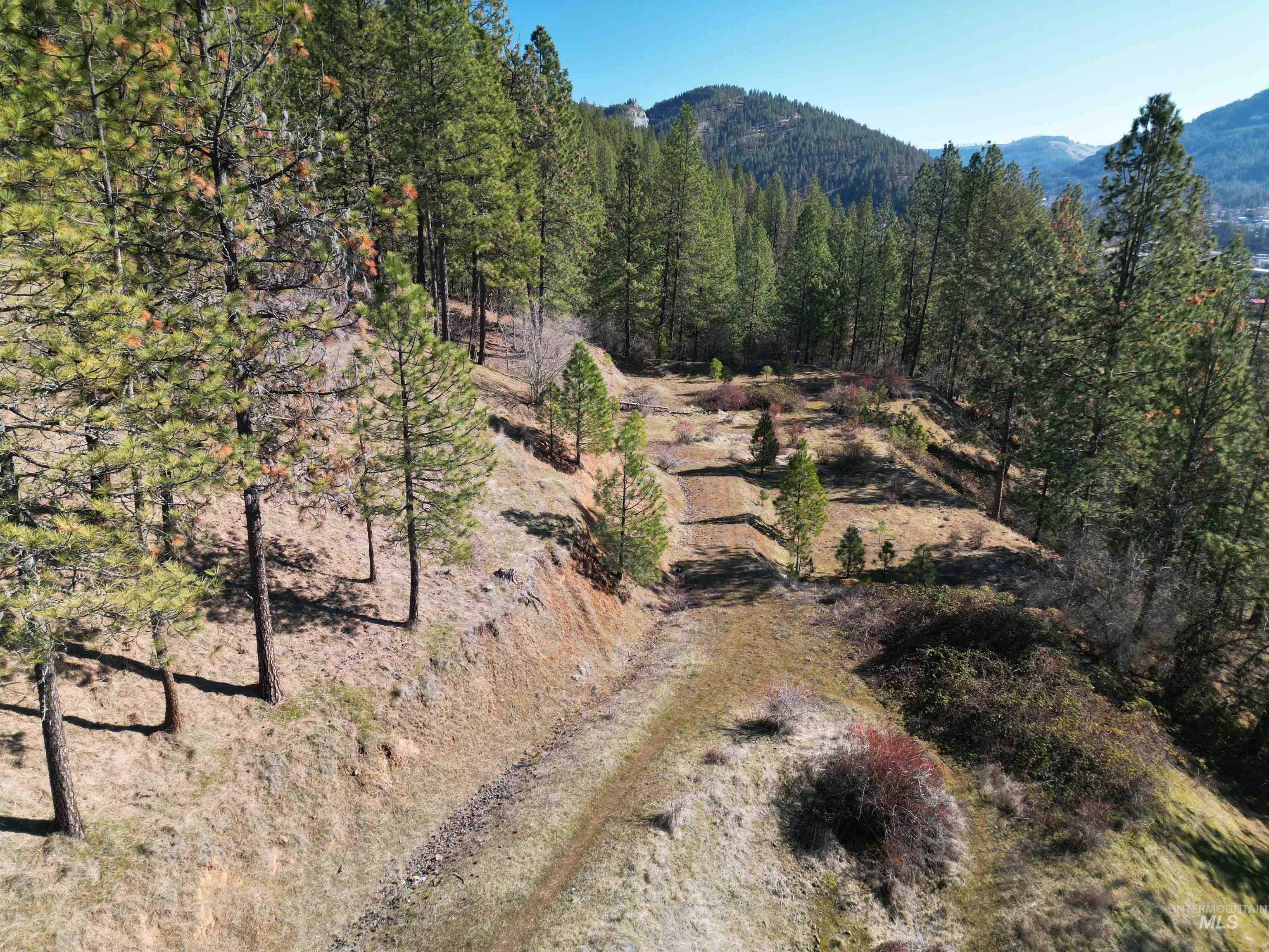618 Quail Drive Lenore, ID 83541 - Photo 28 of 43