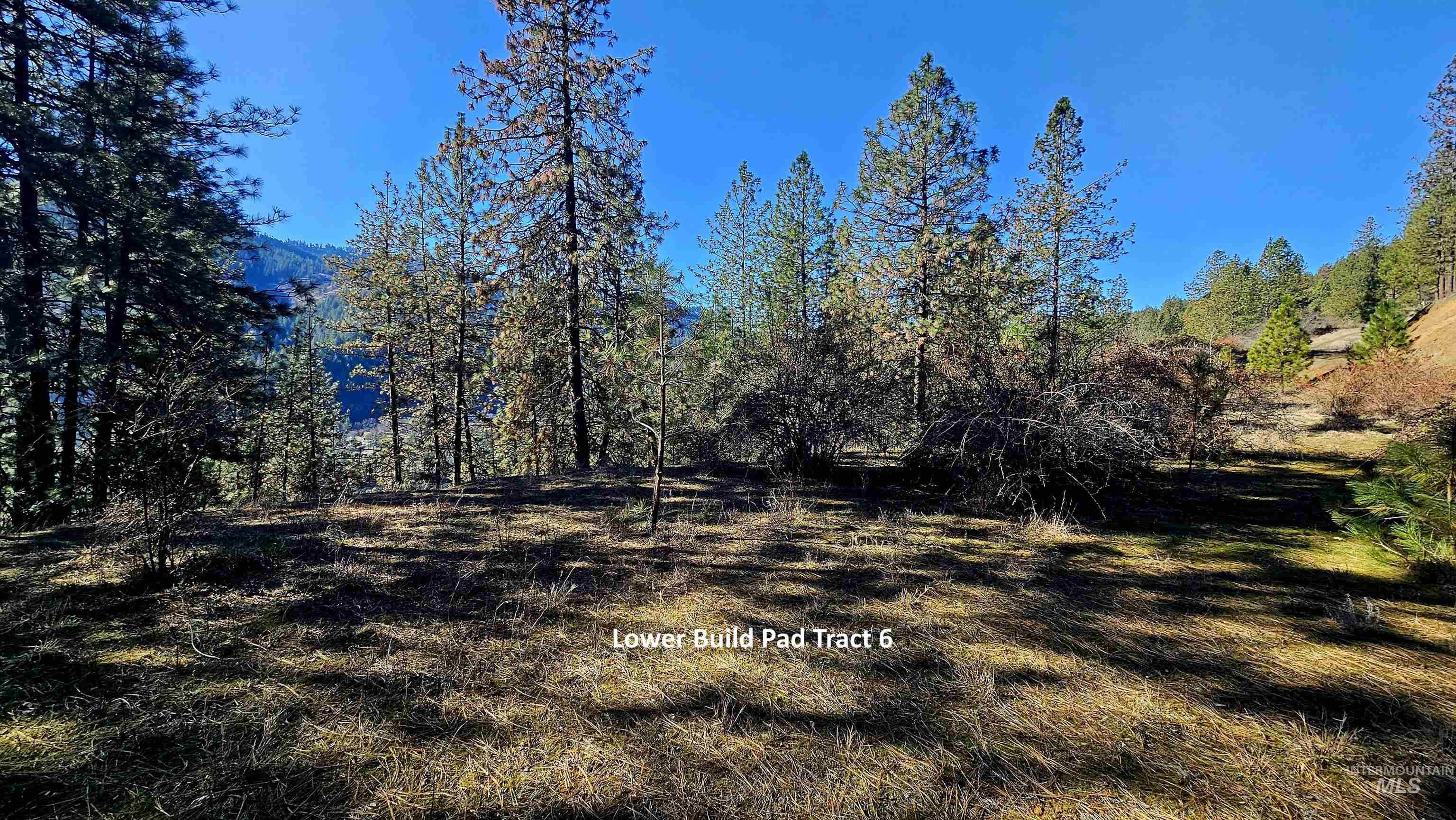 618 Quail Drive Lenore, ID 83541 - Photo 29 of 43
