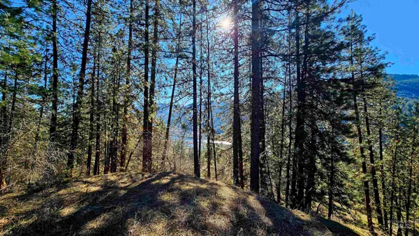 $249,000 | 618 Quail Drive, Lenore, ID 83541