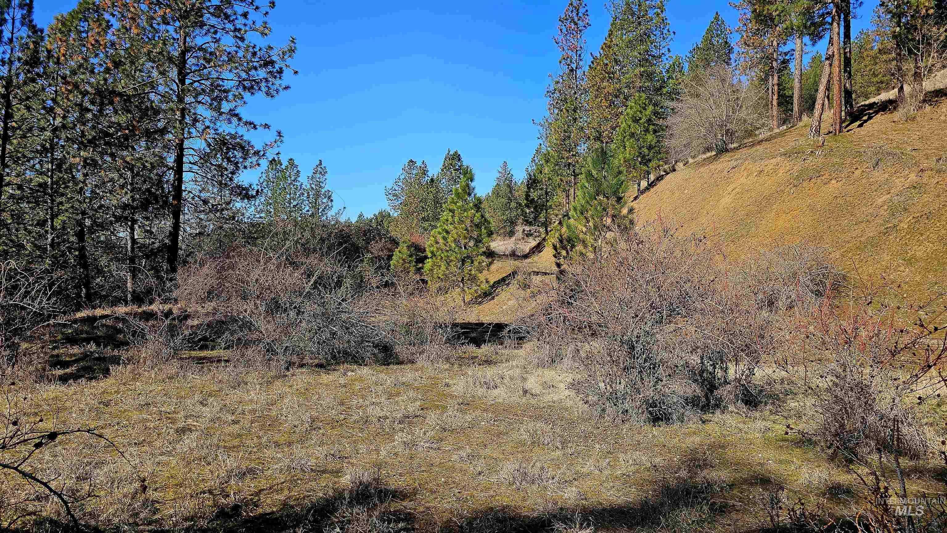 618 Quail Drive Lenore, ID 83541 - Photo 31 of 43