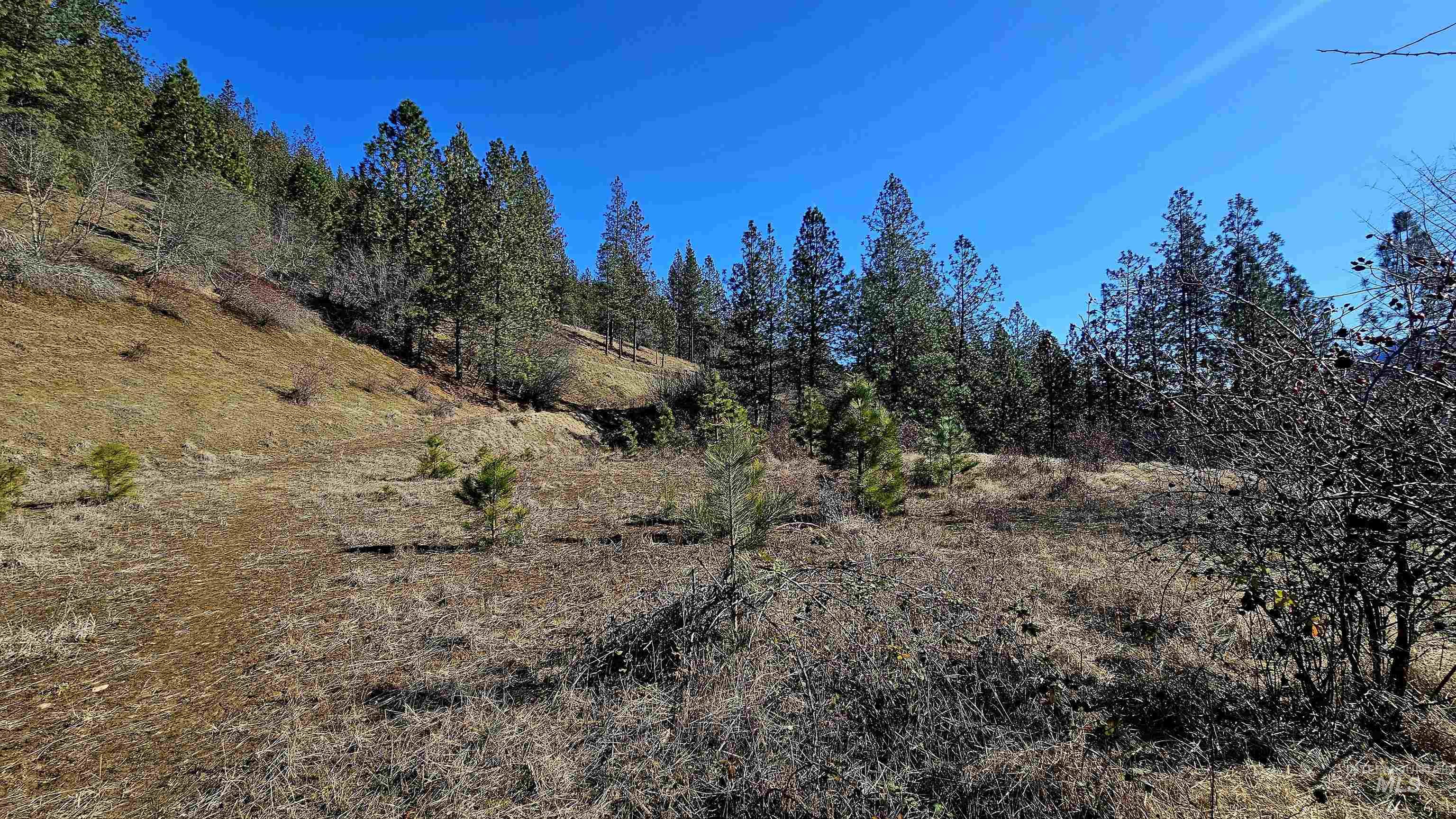 618 Quail Drive Lenore, ID 83541 - Photo 33 of 43