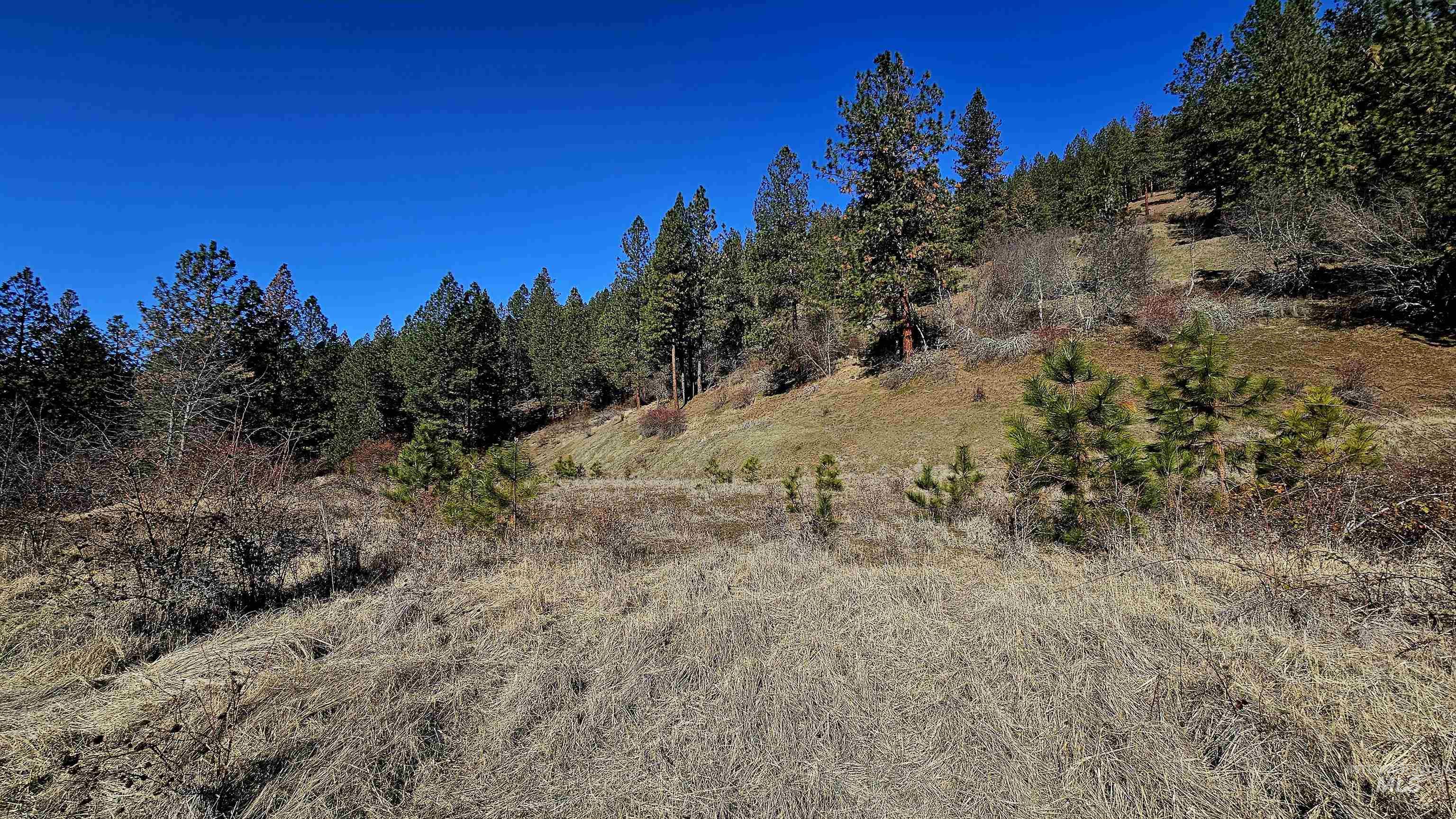 618 Quail Drive Lenore, ID 83541 - Photo 34 of 43