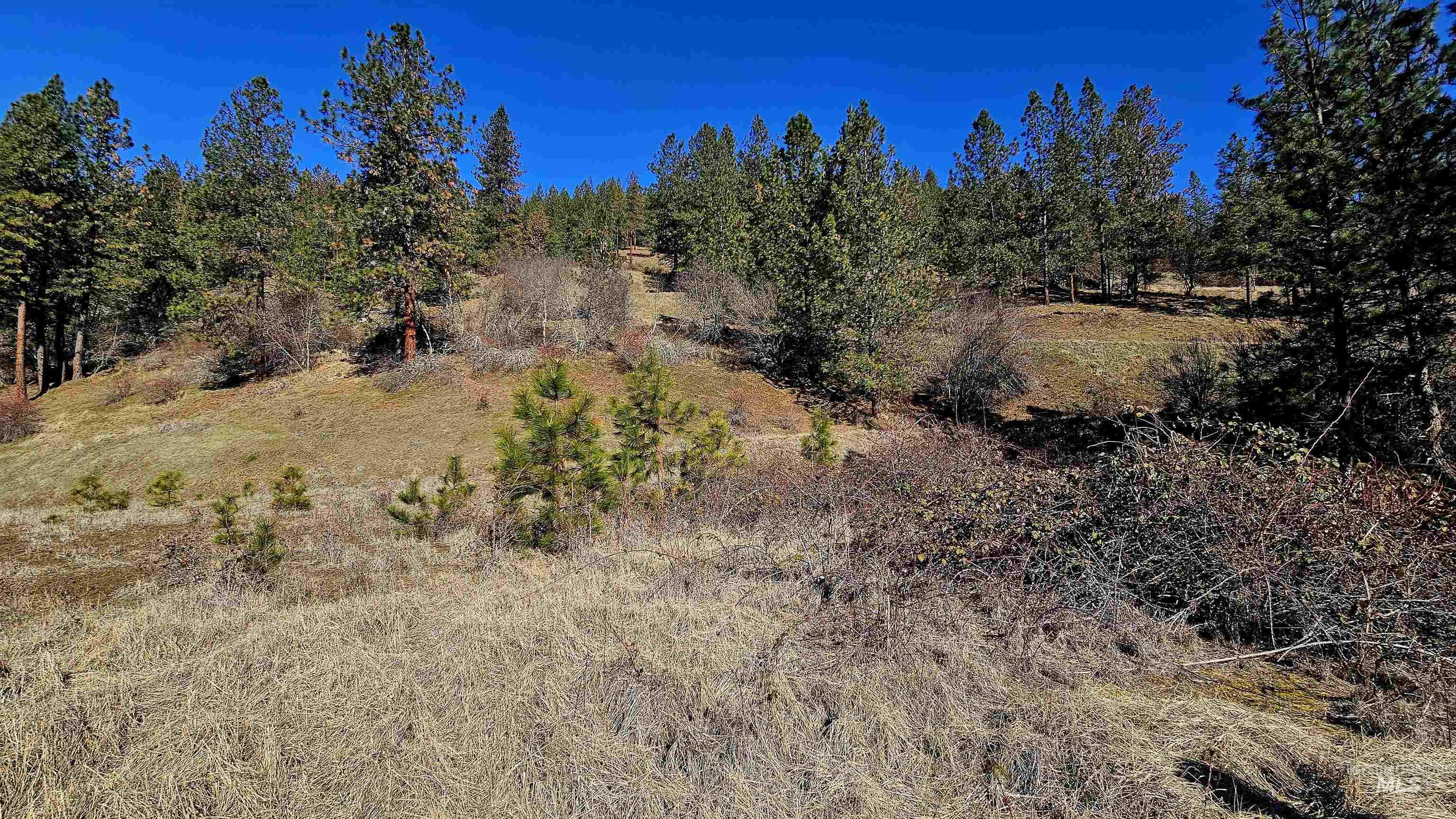 618 Quail Drive Lenore, ID 83541 - Photo 35 of 43