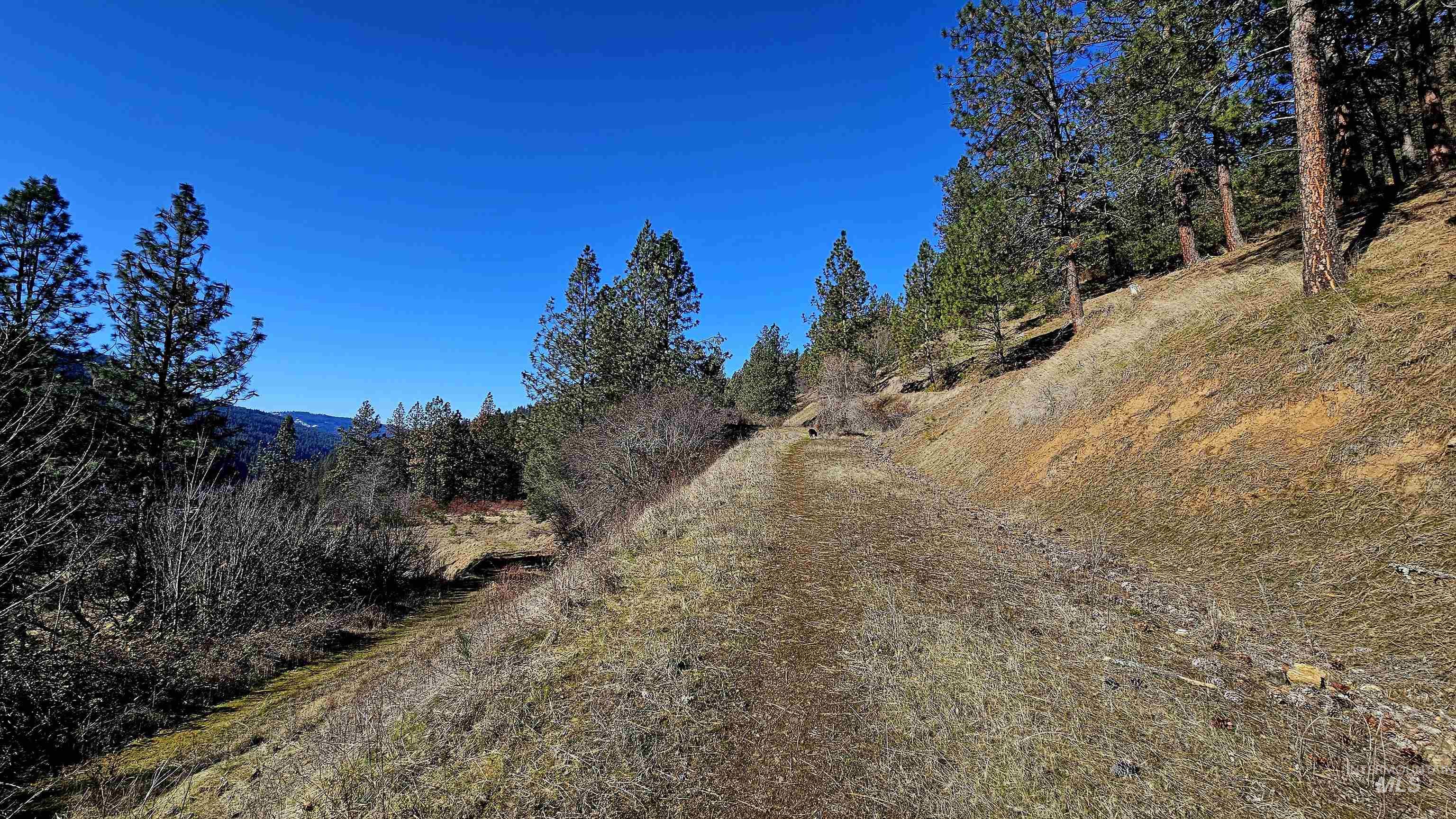 618 Quail Drive Lenore, ID 83541 - Photo 37 of 43