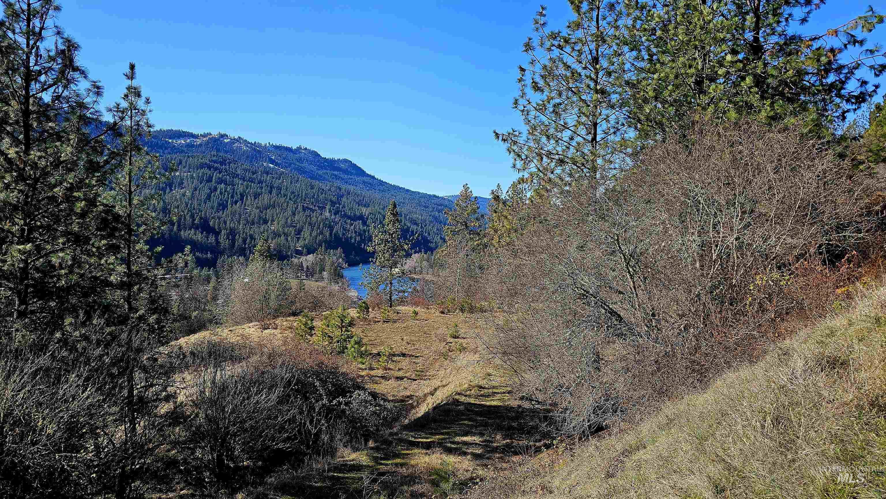 618 Quail Drive Lenore, ID 83541 - Photo 38 of 43
