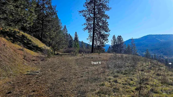 $249,000 | 618 Quail Drive, Lenore, ID 83541