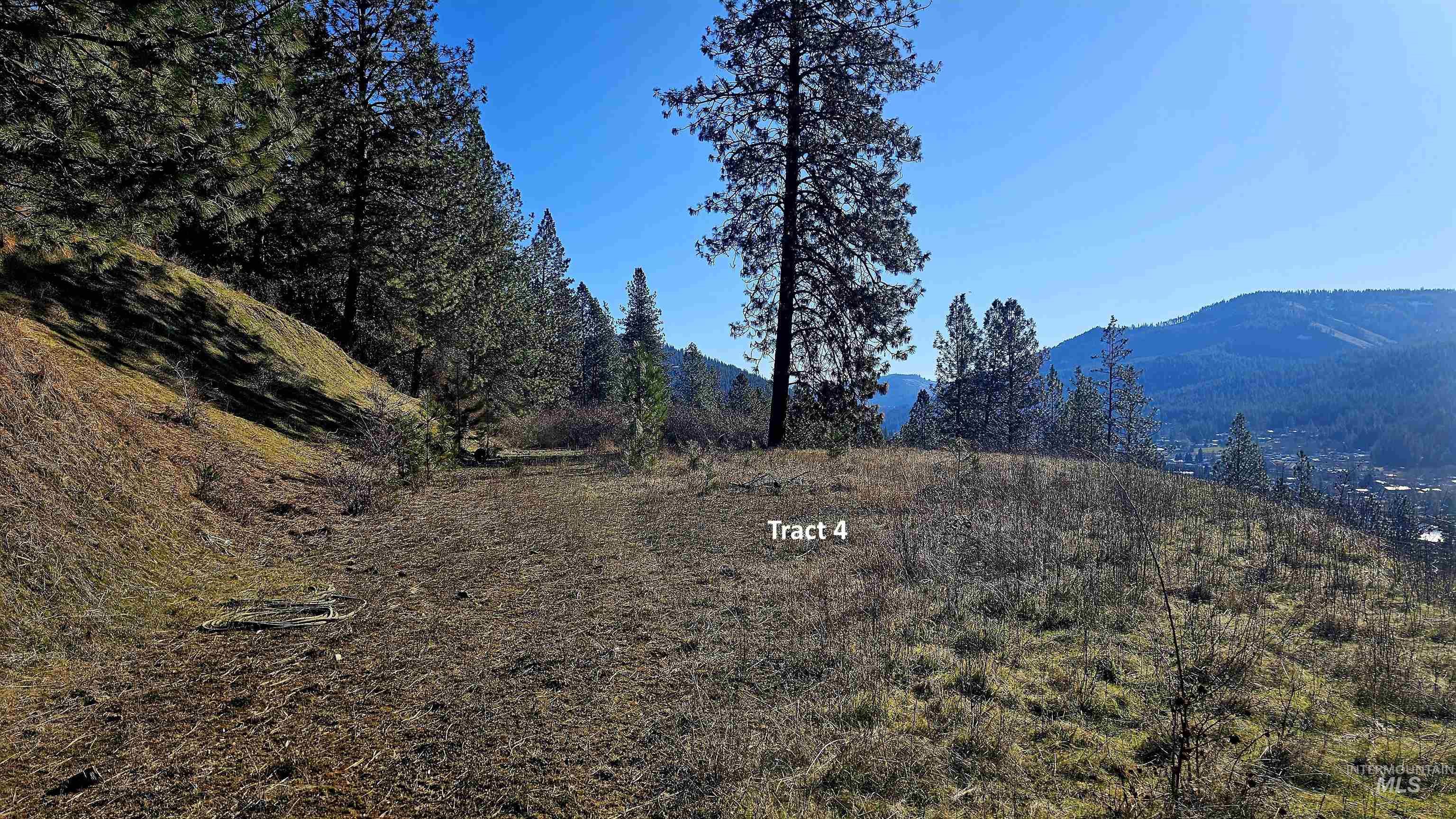 618 Quail Drive Lenore, ID 83541 - Photo 4 of 43