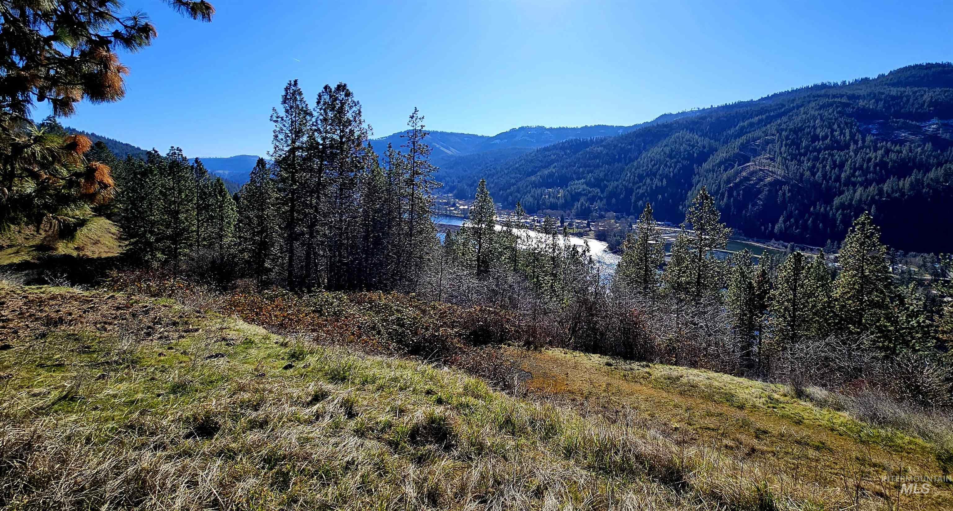 618 Quail Drive Lenore, ID 83541 - Photo 6 of 43