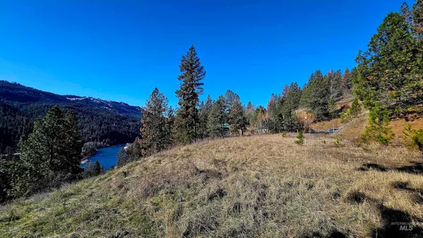 $249,000 | 618 Quail Drive, Lenore, ID 83541