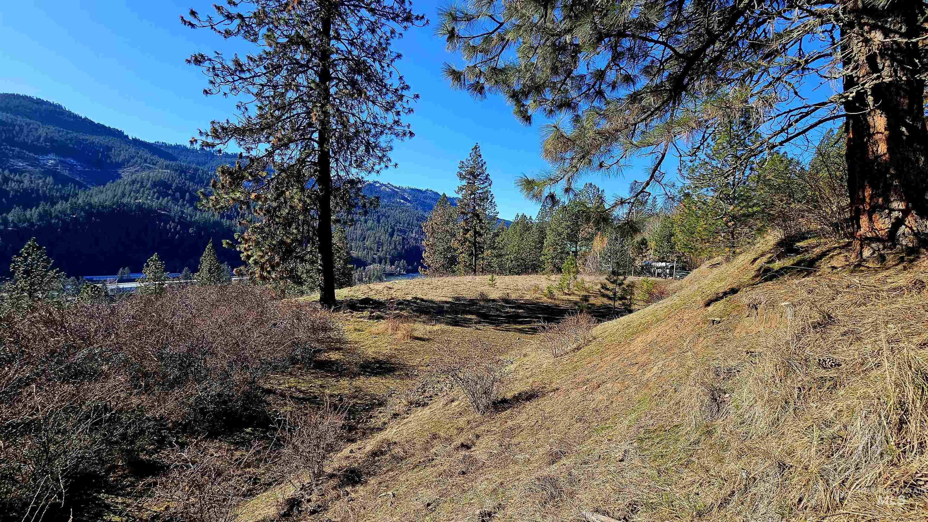 618 Quail Drive Lenore, ID 83541 - Photo 8 of 43