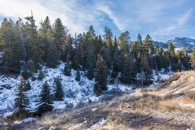 4055 Kilby Road Park City, UT 84098 - Photo 54 of 66