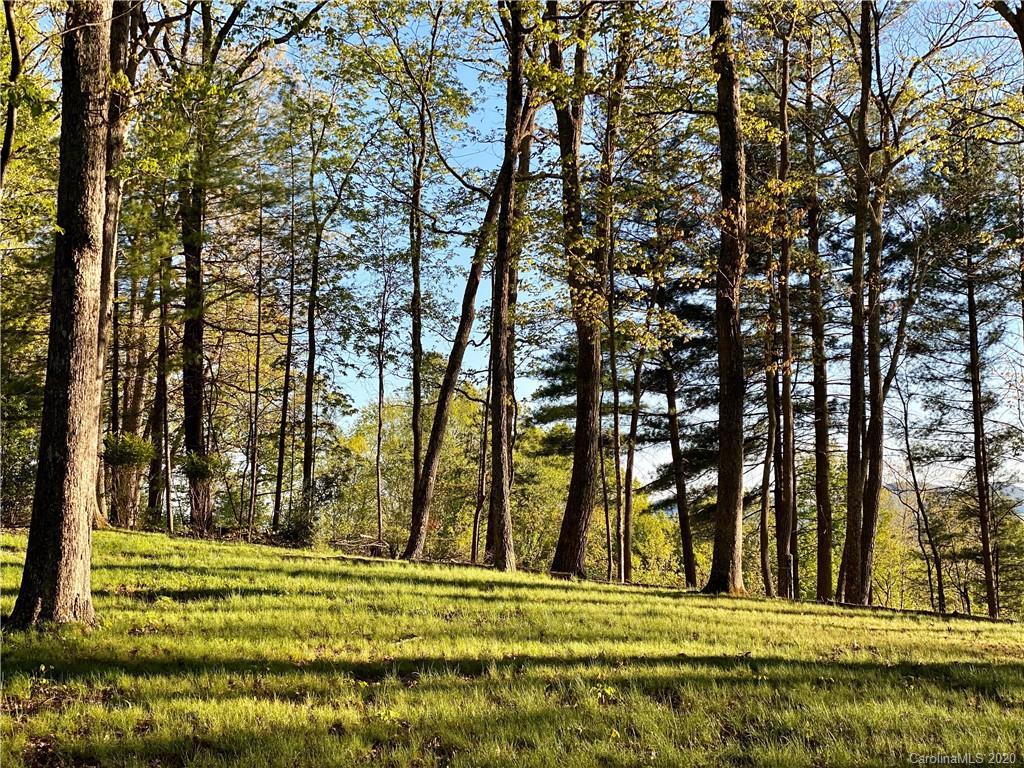 94 Running Ridge Road Asheville, NC 28804 - Photo 6 of 13 Gallery Image 6