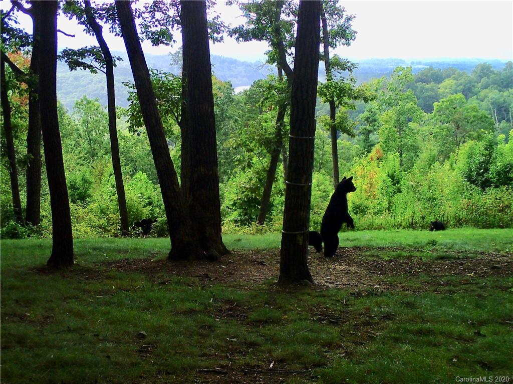 94 Running Ridge Road Asheville, NC 28804 - Photo 10 of 13 Gallery Image 10