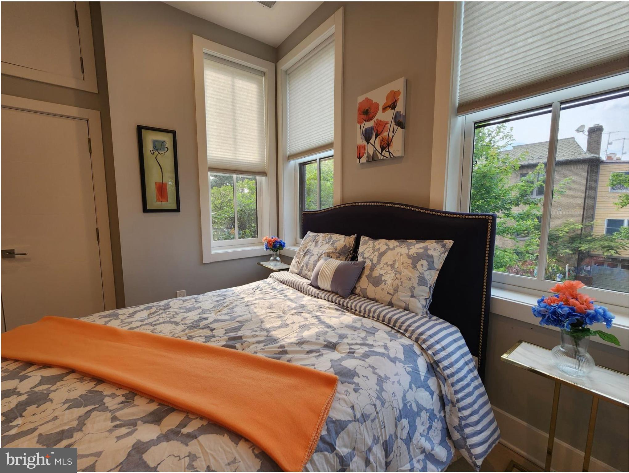 1001 C Street Southeast, Unit 2 Washington, DC 20003 - Photo 39 of 86 a master with lots of light