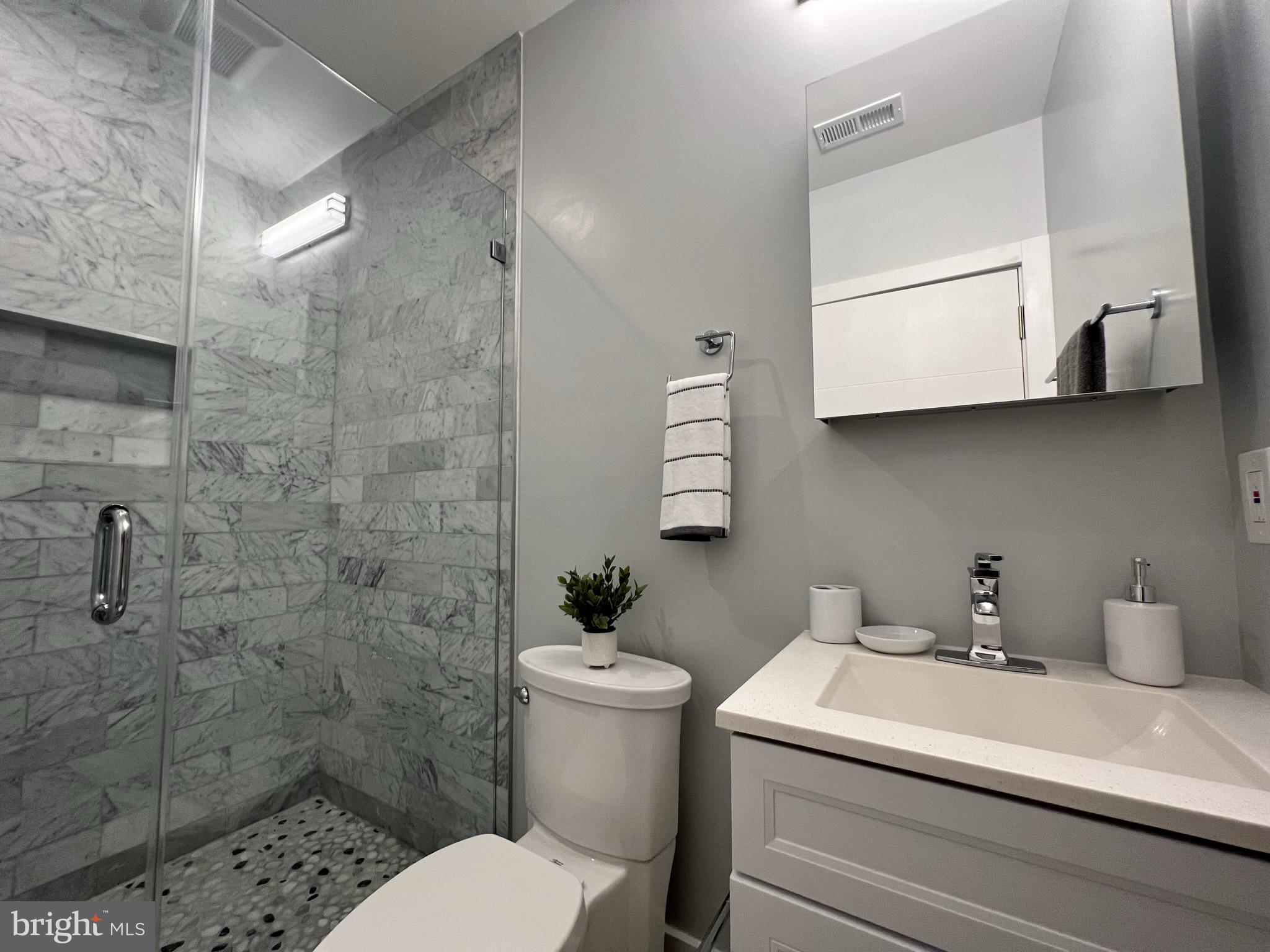 1001 C Street Southeast, Unit 2 Washington, DC 20003 - Photo 51 of 86