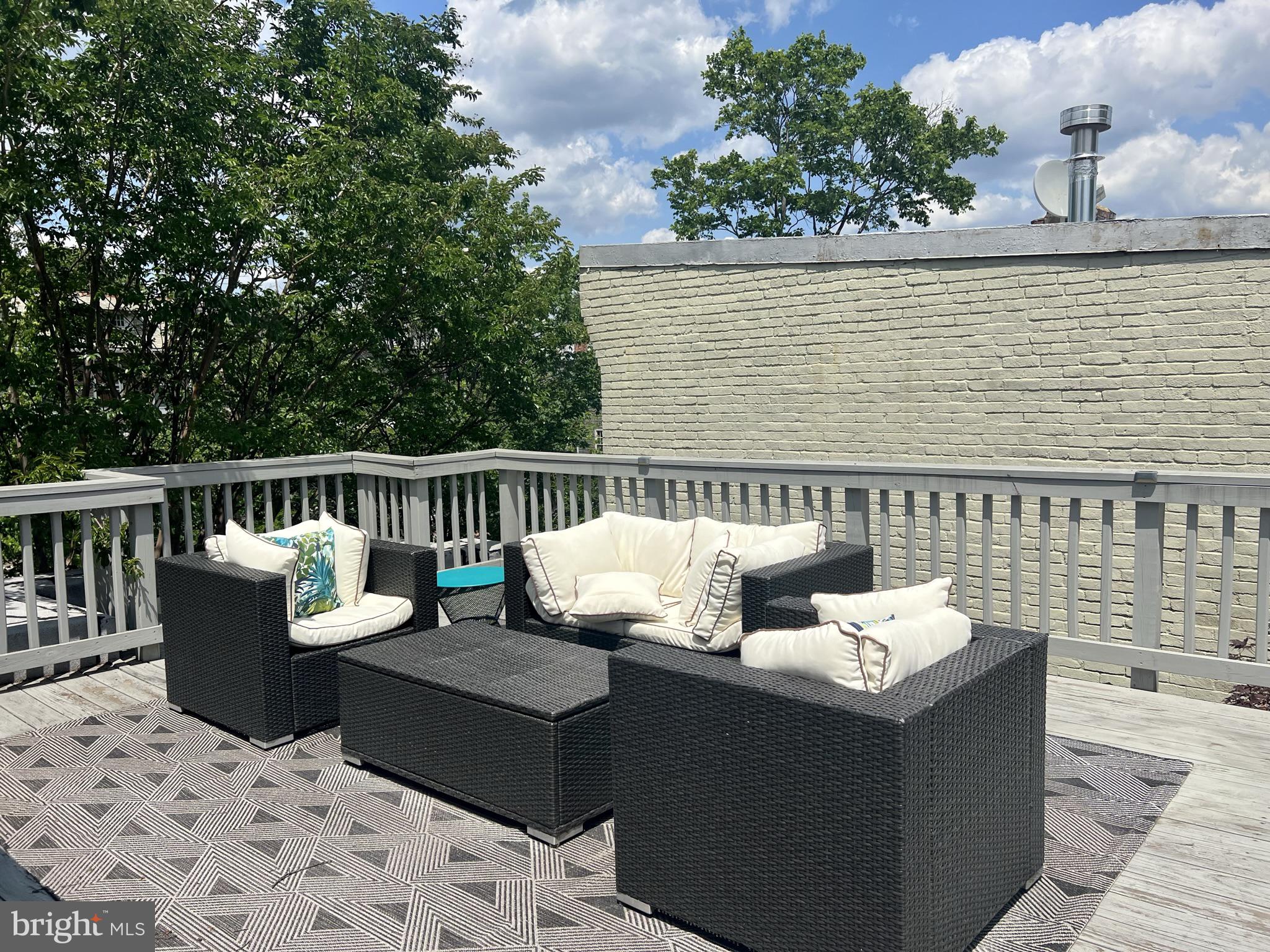 1001 C Street Southeast, Unit 2 Washington, DC 20003 - Photo 71 of 86 Above othereyes, one could tan your thighs!