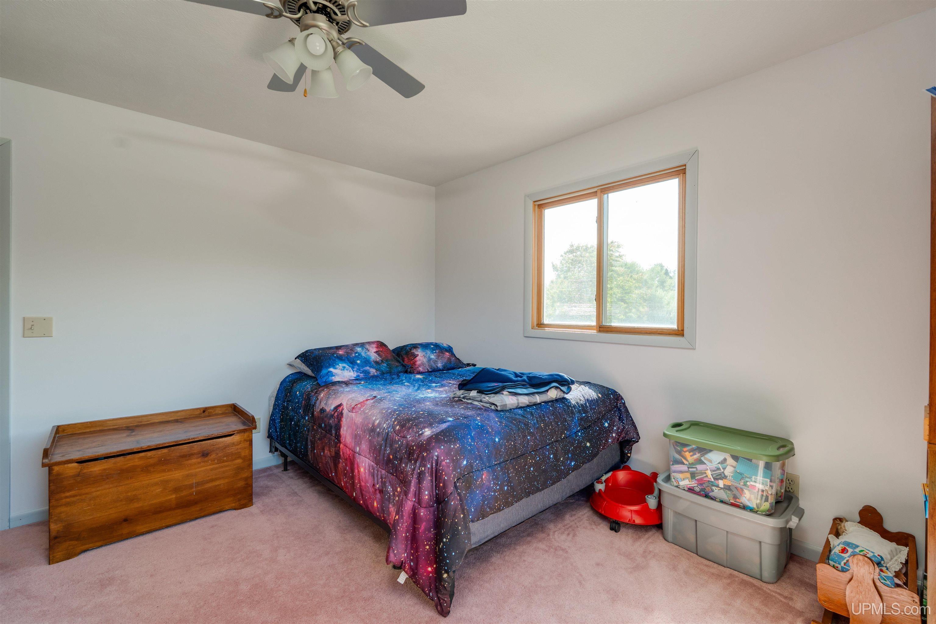 6917 Burns Road Germfask, MI 49836 - Photo 63 of 87